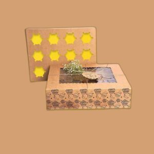 Custom Eco Friendly Boxes with inserts
