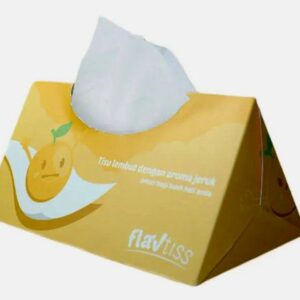 Tissue Dispenser Box