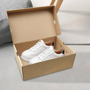 Shoe Foldable Box